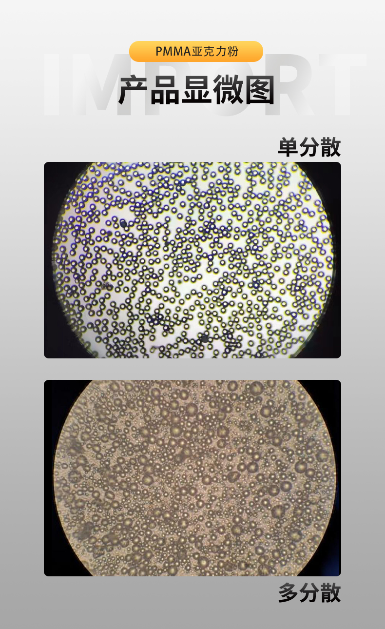 亞力克詳情_04.jpg