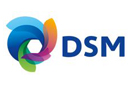 荷兰DSM (PA6)
